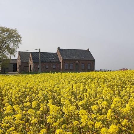 Spacious Holiday Home With Pond In Poperinge Roesbrugge-Haringe Zewnętrze zdjęcie