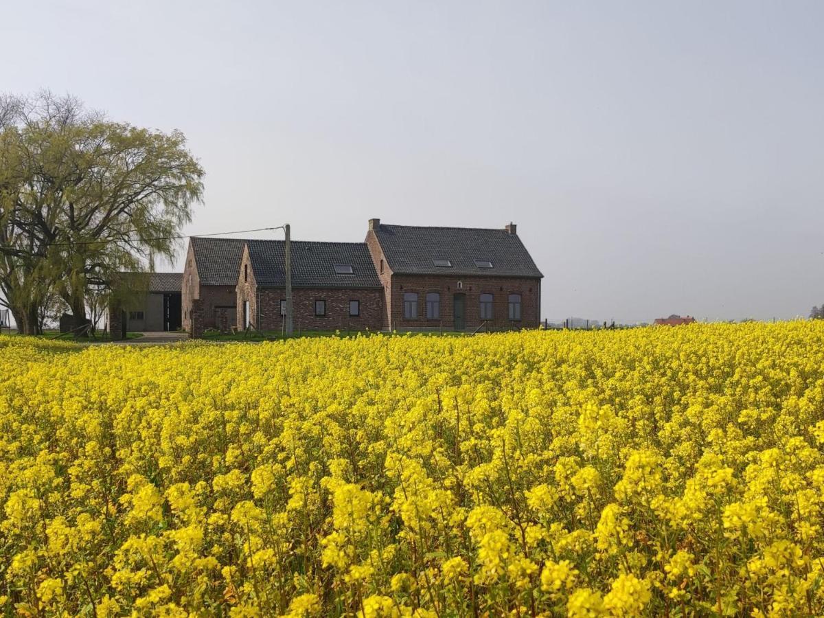 Spacious Holiday Home With Pond In Poperinge Roesbrugge-Haringe Zewnętrze zdjęcie